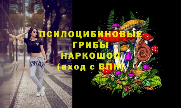 спиды Володарск